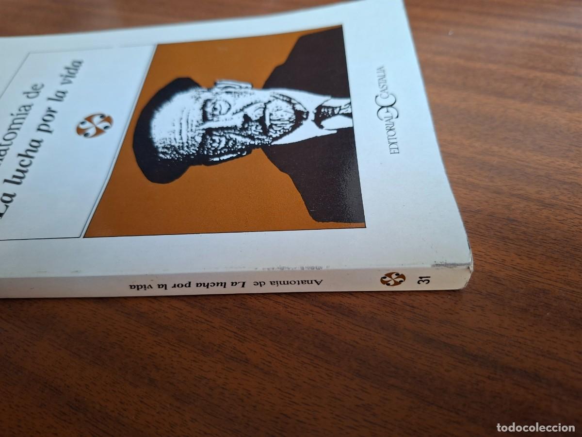 Libros de segunda mano: Anatom&iacute;a de &rdquo;La lucha por la vida&rdquo; --- E. Alarcos - Foto 3