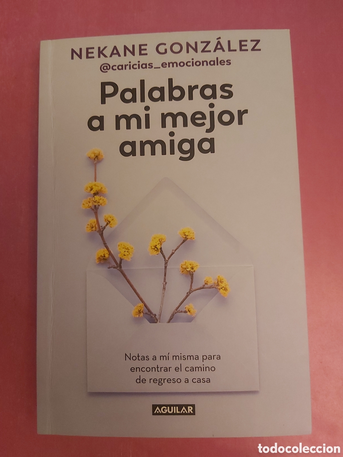 Libros de segunda mano: PALABRAS A MI MEJOR AMIGA NEKANE GONZALEZ AGUILAR PRIMERA EDICI&Oacute;N 2023