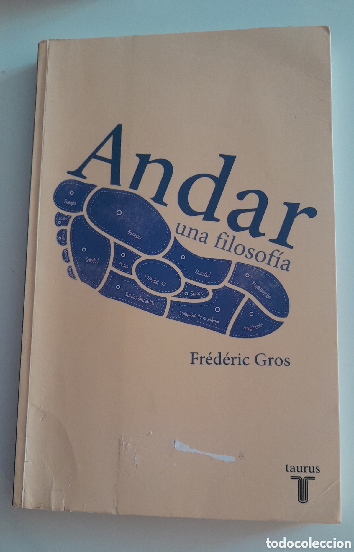 Libros de segunda mano: ANDAR UNA FILOSOFIA. Fr&eacute;d&eacute;ric Gros. Taurus