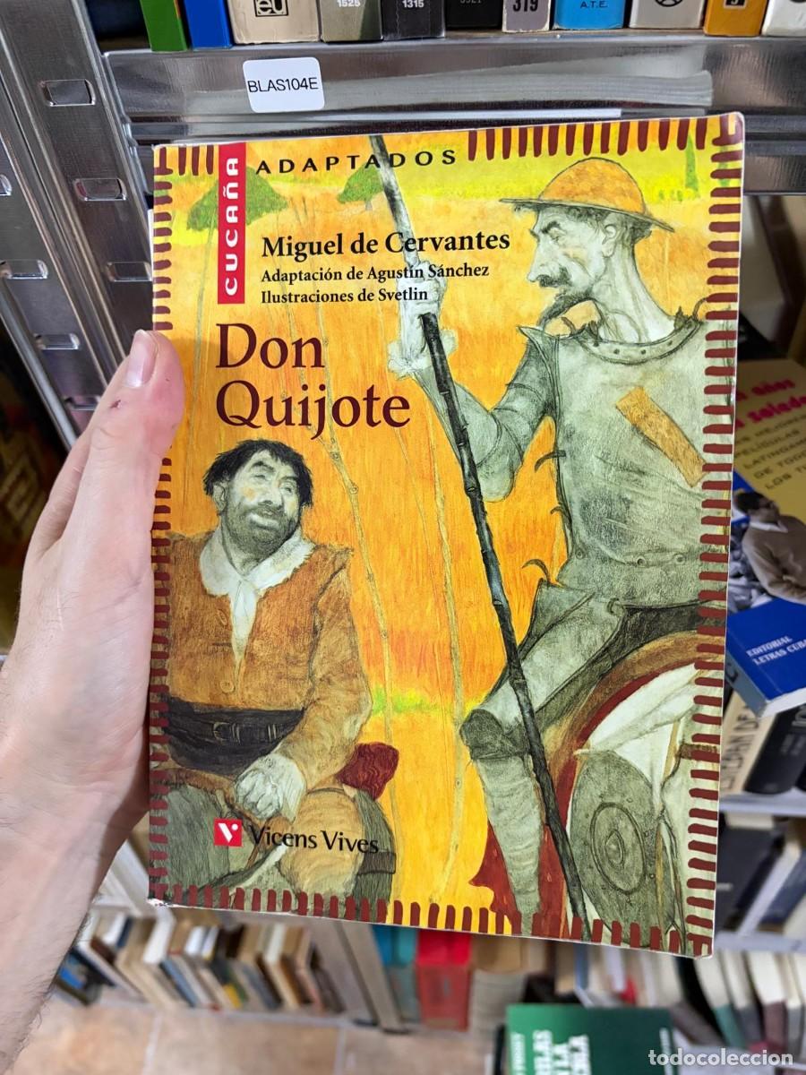 Libros de segunda mano: BLAS104E Miguel de Cervantes Don Quijote Adaptaci&oacute;n de Agust&iacute;n S&aacute;nchez, ilustraciones de Svetlin