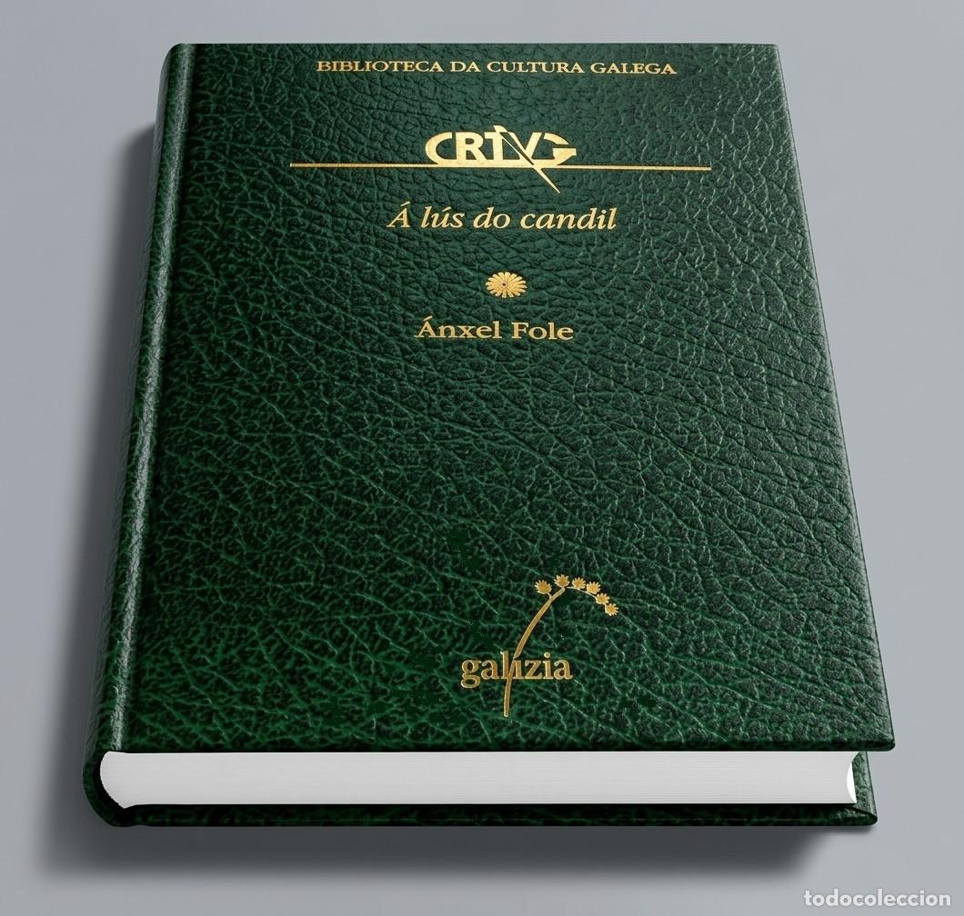 Livres d'occasion: A LUS DO CANDIL. ANXEL FOLE. ILUSTRADO. BIB. DA CULTURA GALEGA. N&ordm; 48. GALICIA. NUEVO.