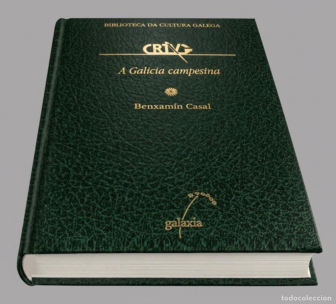 Libros de segunda mano: �M2978 - A GALICIA CAMPESINA. BENXAMIN CASAL. BIB. DA CULTURA GALEGA. N&ordm; 22. ETNOGRAFICA. NUEVO.
