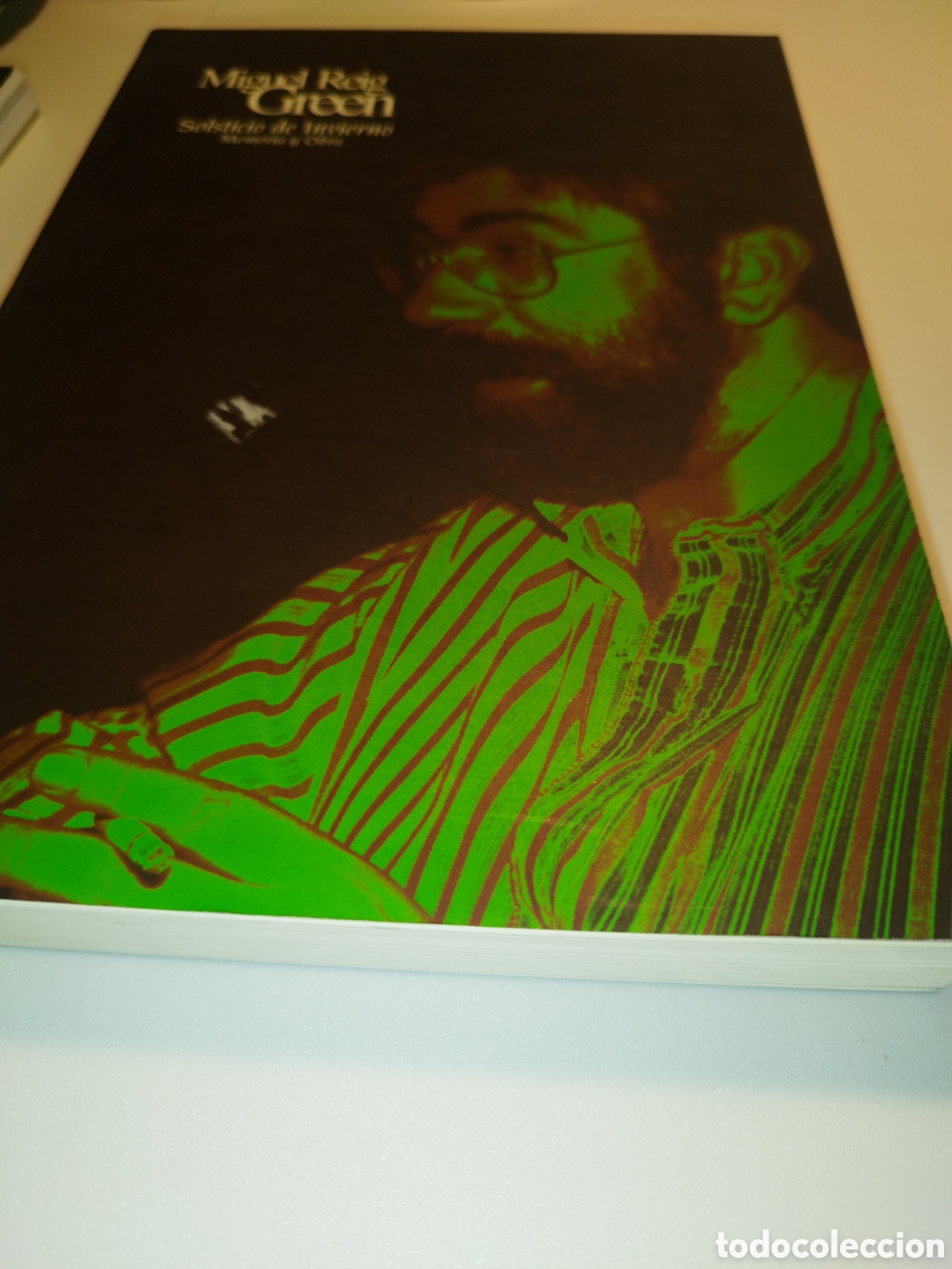 Libros de segunda mano: MIGUEL REIG GREEN. SOLSTICIO DE INVIERNO. MEMORIA Y OBRA. ED. AYUNT. ZARAGOZA, 1997 PRIMERA EDICION