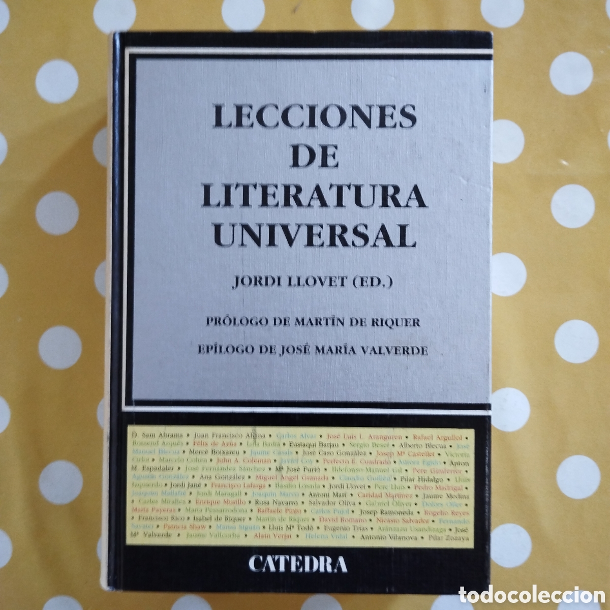 Libros de segunda mano: LECCIONES DE LITERATURA UNIVERSAL JORDI LLOVET MARTIN DE RIQUER JM VALVERDE CATEDRA