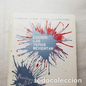 Libri di seconda mano: ESTUDIOS LING&Uuml;ISTICOS Y LITERARIOS