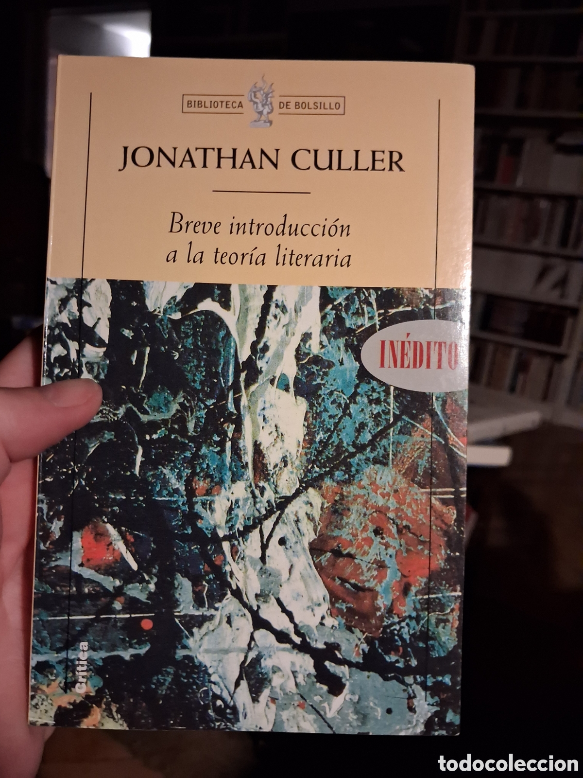 Libros de segunda mano: Breve introducci&oacute;n a la teor&iacute;a literaria, Jonathan Culler