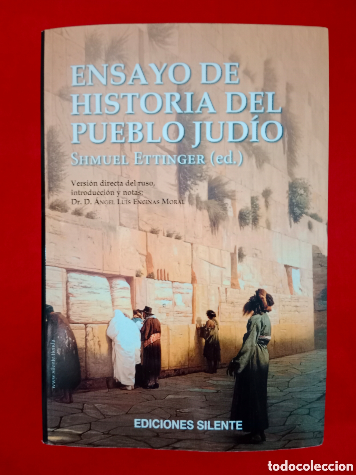 Libros de segunda mano: ENSAYO DE HISTORIA DEL PUEBLO JUD&Iacute;O, SHMUEL ETTINGER