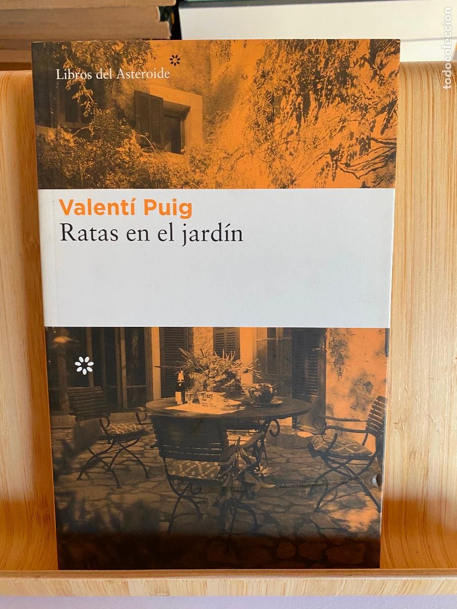 Libros de segunda mano: RATAS EN EL JARD&Iacute;N. VALENT&Iacute; PUIG. LIBROS DEL ASTEROIDE