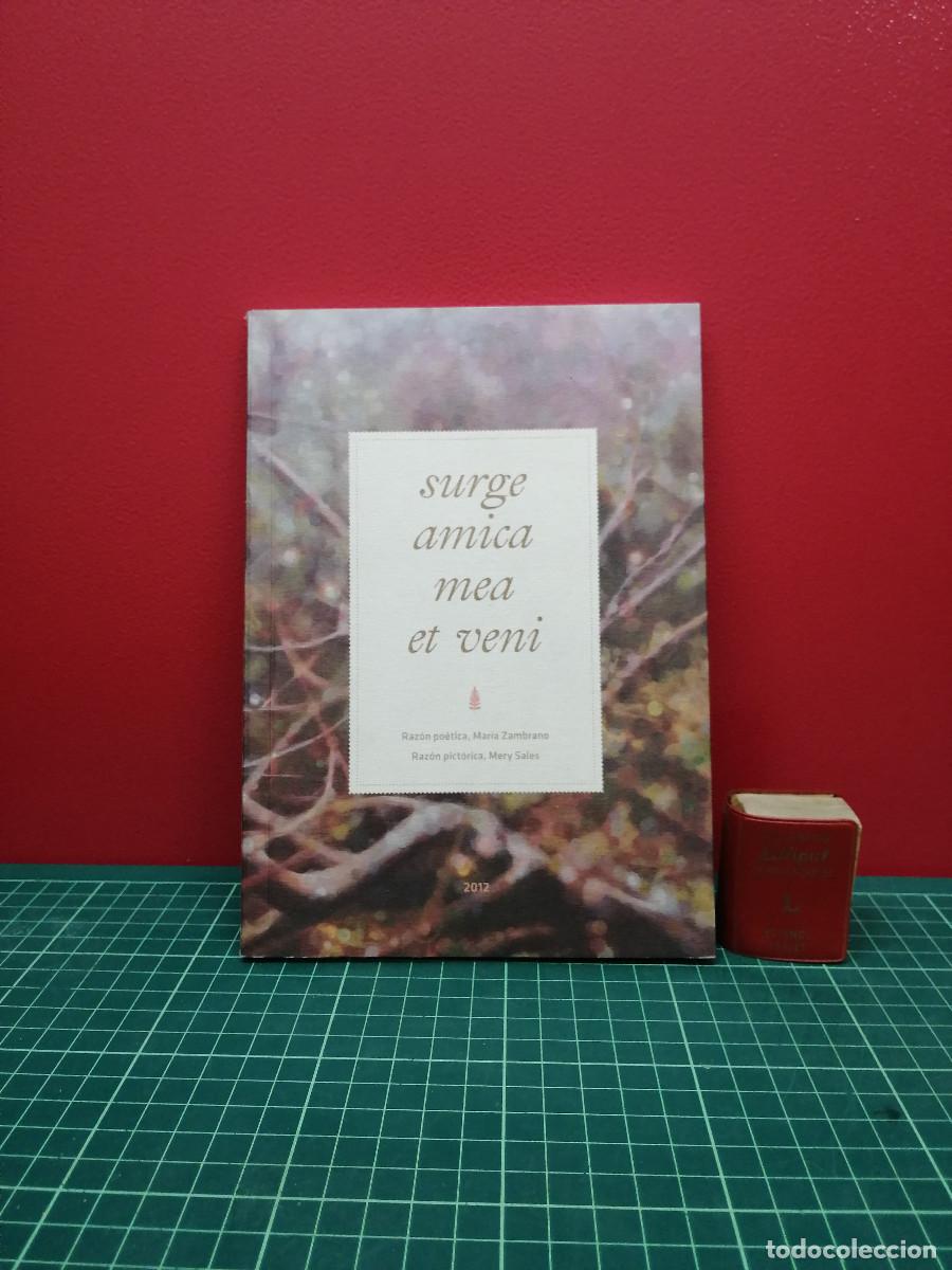 Libros de segunda mano: Surge amica mea et veni - Mar&iacute;a Zambrano / Mery Sales