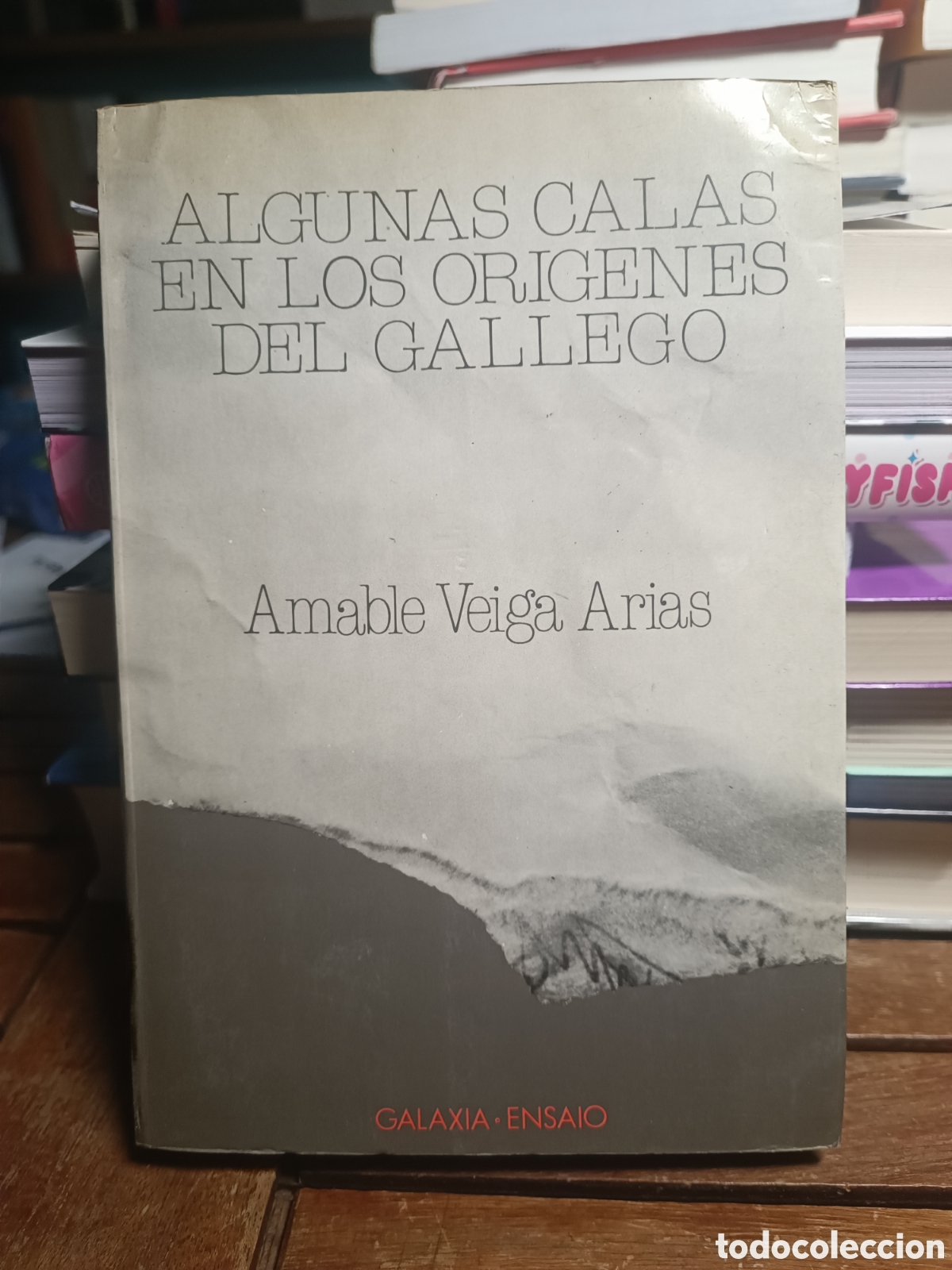 Livros em segunda m&atilde;o: Algunas calas en los or&iacute;genes del gallego. Amable Veiga Arias Galaxia 1983 primera edici&oacute;n