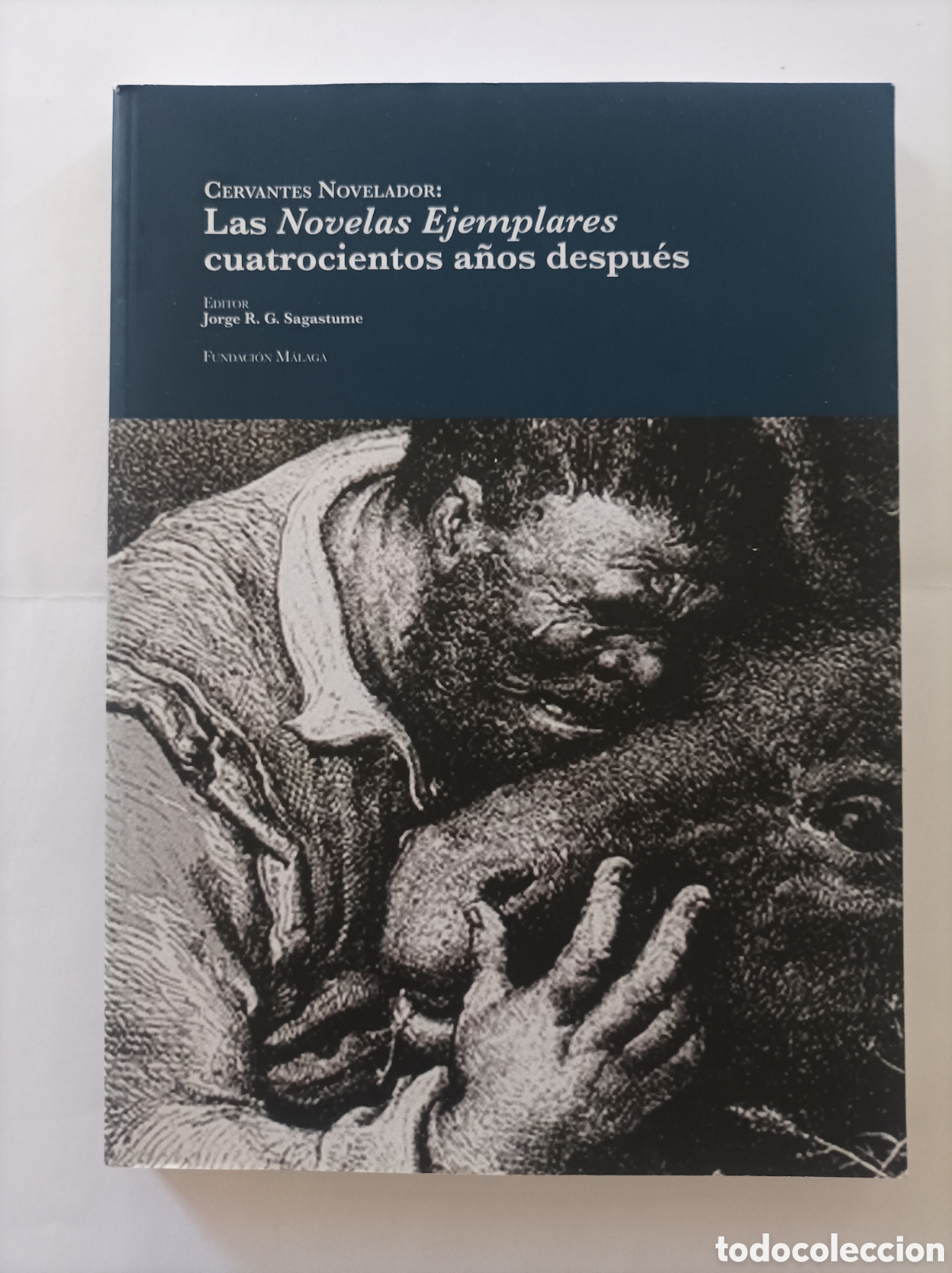 Gebrauchte B&uuml;cher: Cervantes novelador: las novelas ejemplares cuatrocientos a&ntilde;os despu&eacute;s / Jorge R G Sagastume