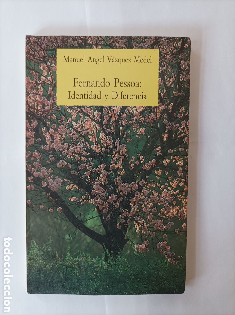Libri di seconda mano: Fernando Pessoa: Identidad y diferencia / Manuel &Aacute;ngel V&aacute;zquez Medel