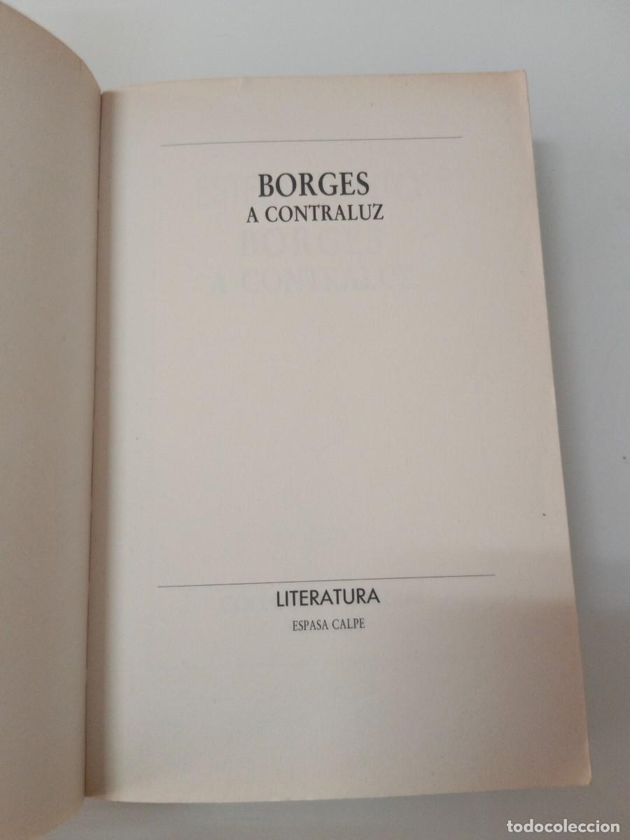 Libros de segunda mano: BORGES A CONTRALUZ. ESTELA CANTO - Foto 4