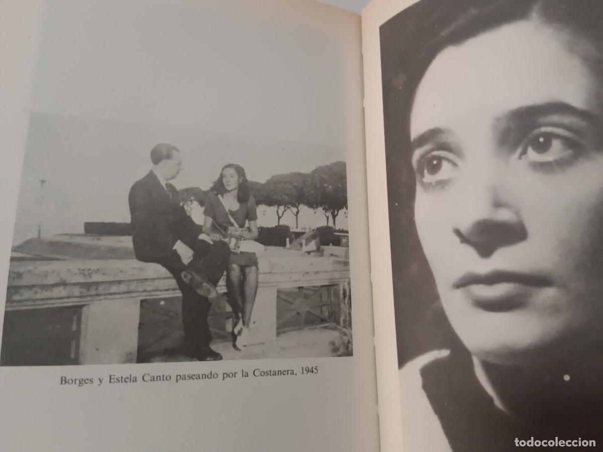 Libros de segunda mano: BORGES A CONTRALUZ. ESTELA CANTO - Foto 8