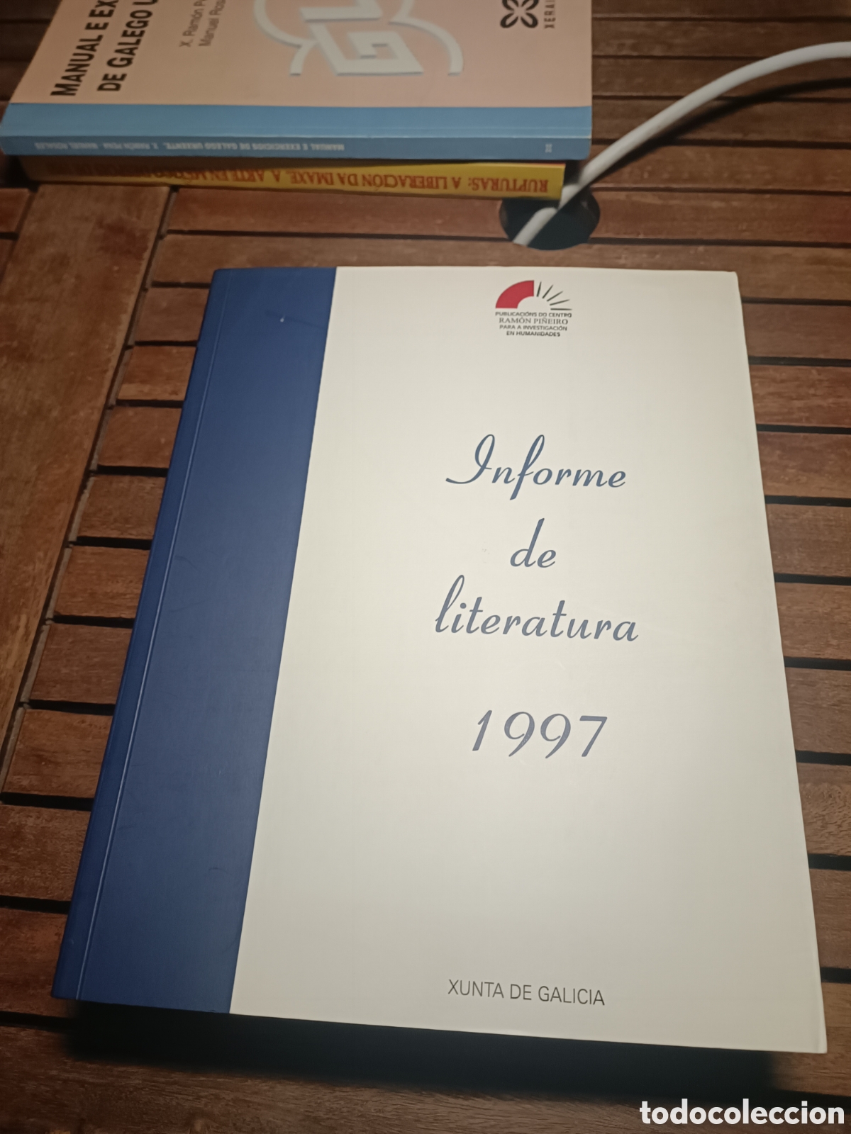 Libros de segunda mano: INFORME DE LITERATURA 1997 RAMON PI&Ntilde;EIRO XUNTA GALICIA 1998 primera edici&oacute;n