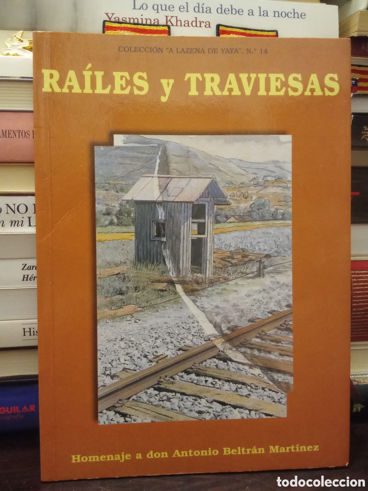 Libros de segunda mano: RAILES y TRAVIESAS - Homenaje a don Antonio Beltr&aacute;n Martinez