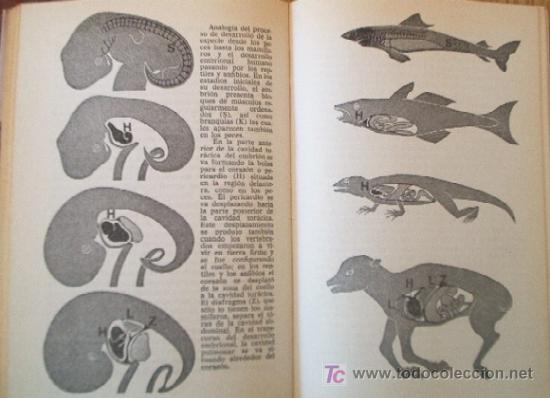 Libros de segunda mano: LOS DIOSES VINIERON DE LAS ESTRELLAS - Foto 7