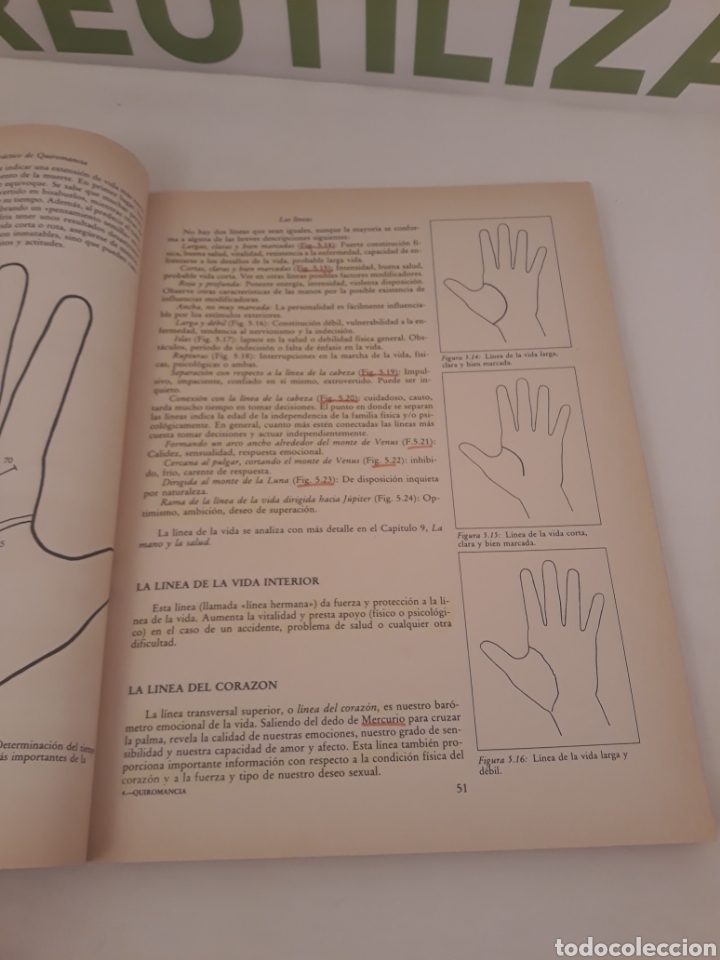 Libros de segunda mano: Manual practico de quiromancia.Nathaniel altman.edaf. - Foto 5