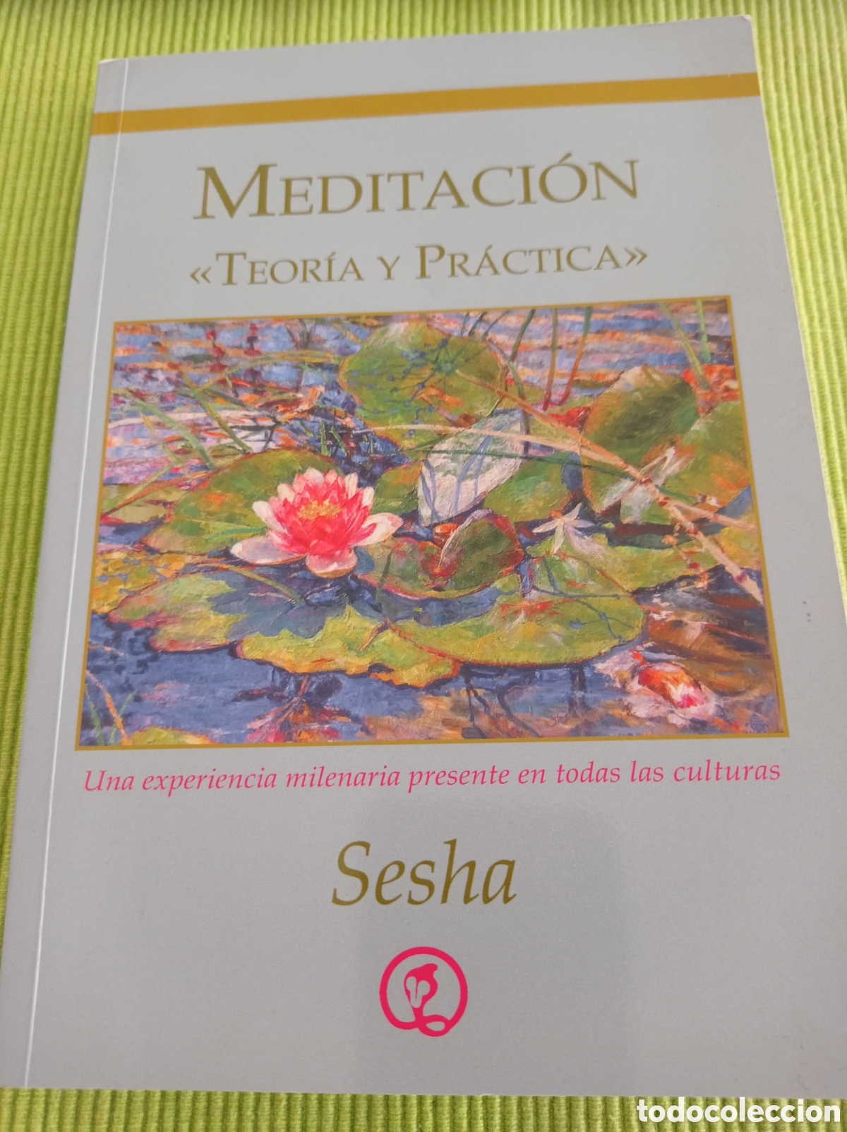 Libros de segunda mano: Meditaci&oacute;n Teor&iacute;a y pr&aacute;ctica - Foto 1