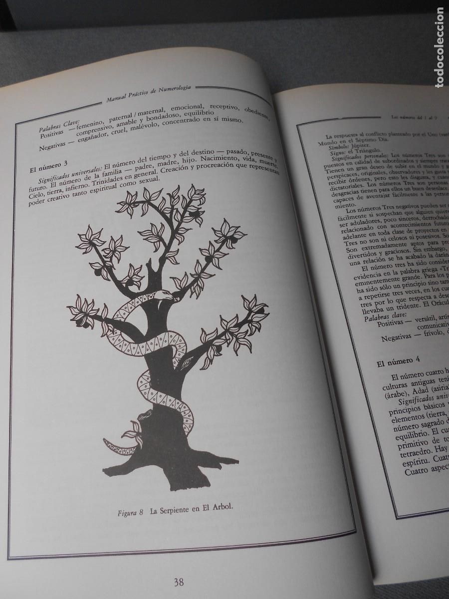 Libros de segunda mano: MANUAL PRACTICO DE NUMEROLOGIA - Foto 5