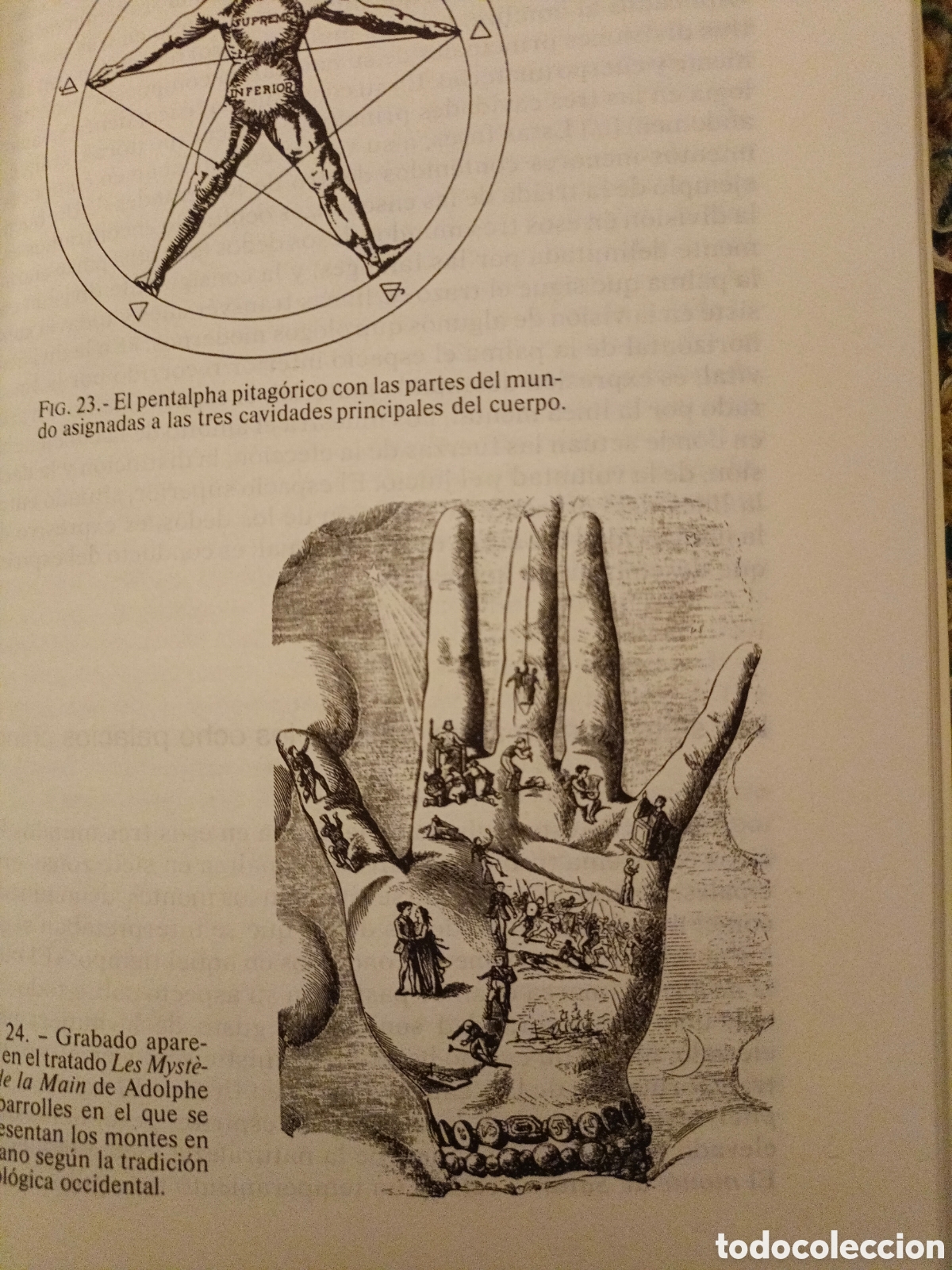 Libros de segunda mano: As&iacute; hablan las manos - Foto 3