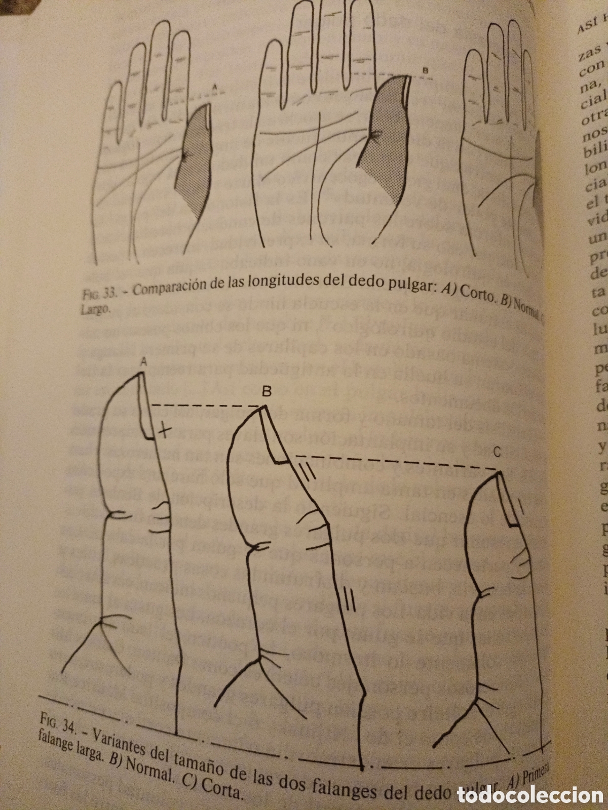 Libros de segunda mano: As&iacute; hablan las manos - Foto 4