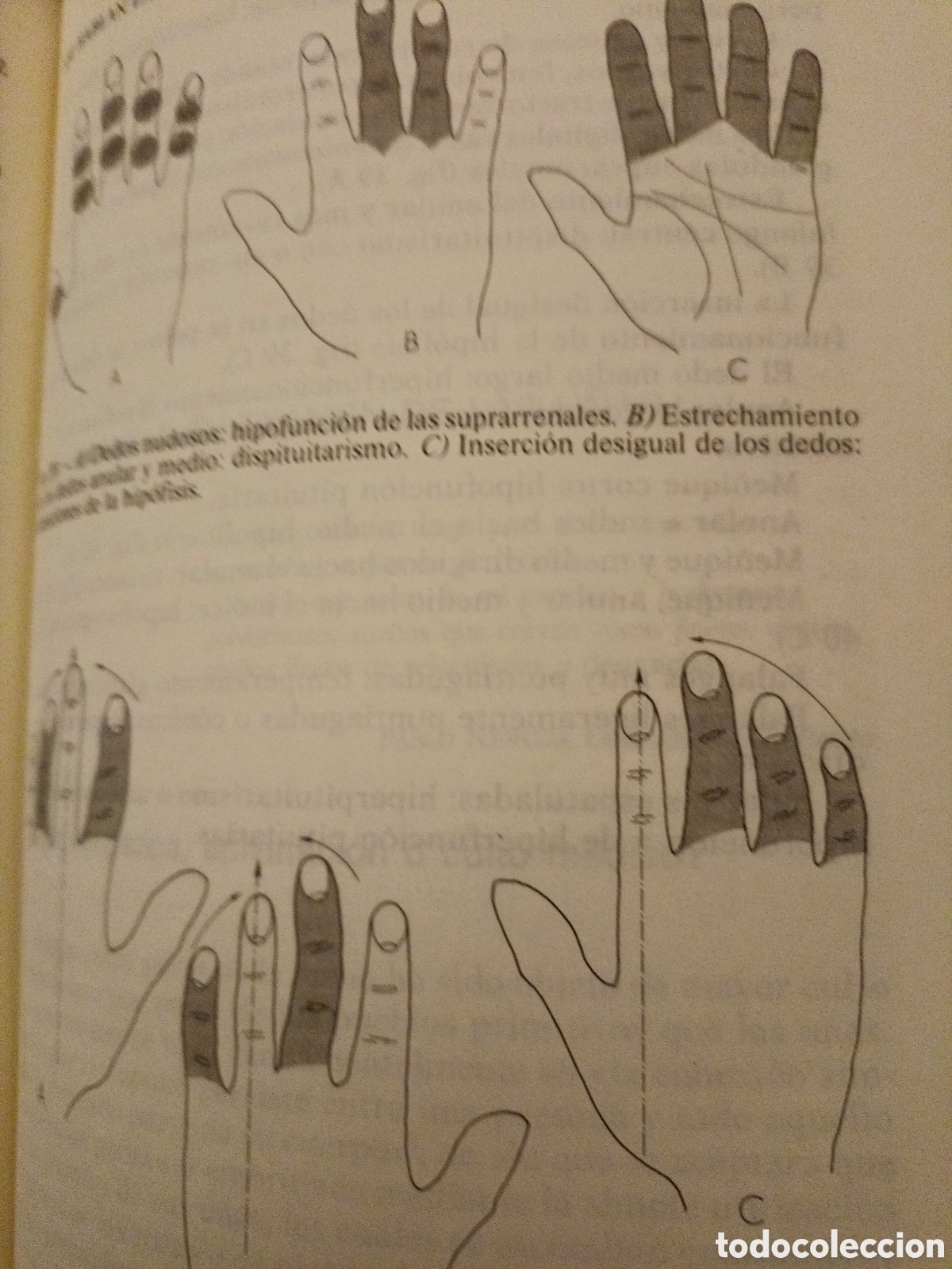 Libros de segunda mano: As&iacute; hablan las manos - Foto 5