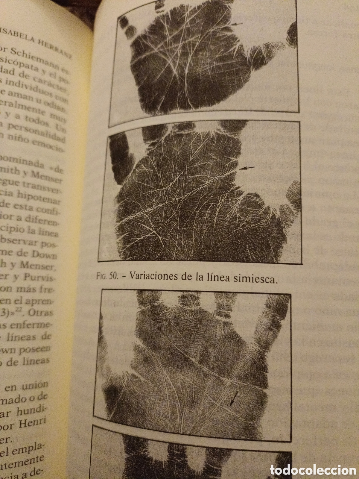 Libros de segunda mano: As&iacute; hablan las manos - Foto 7
