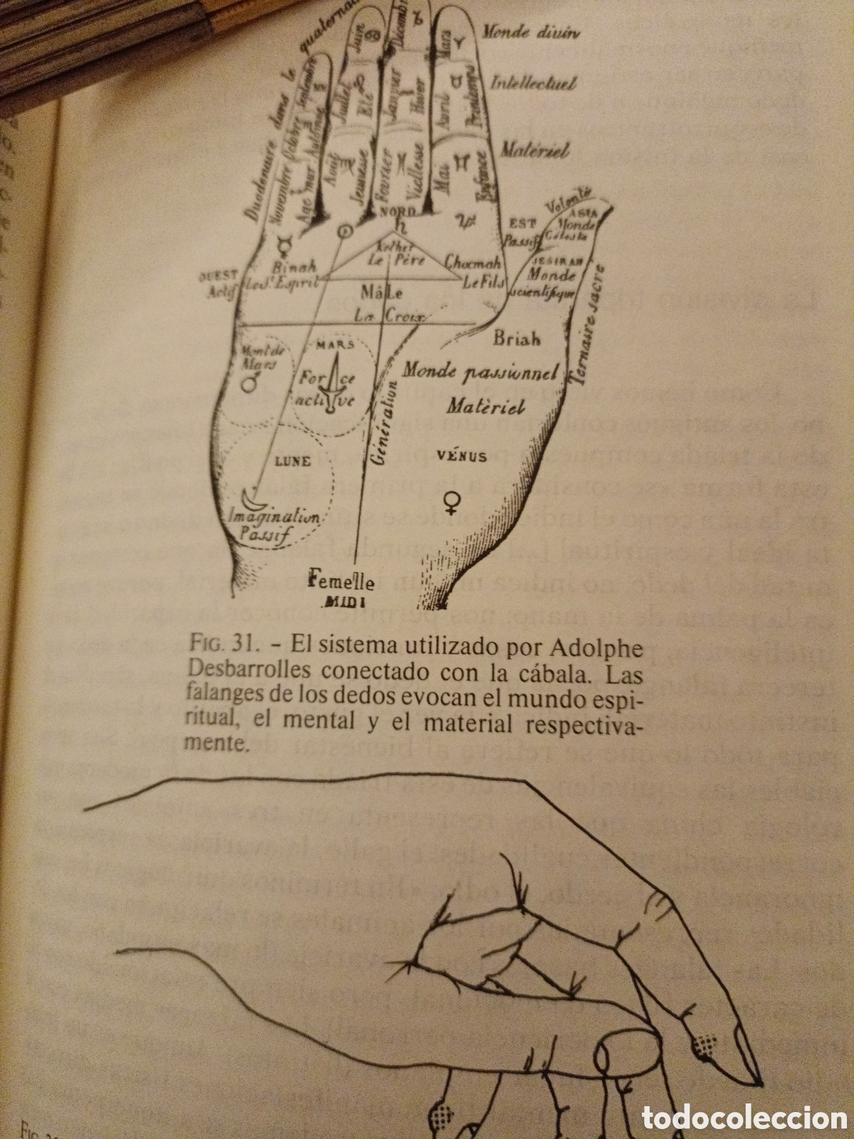 Libros de segunda mano: As&iacute; hablan las manos - Foto 8