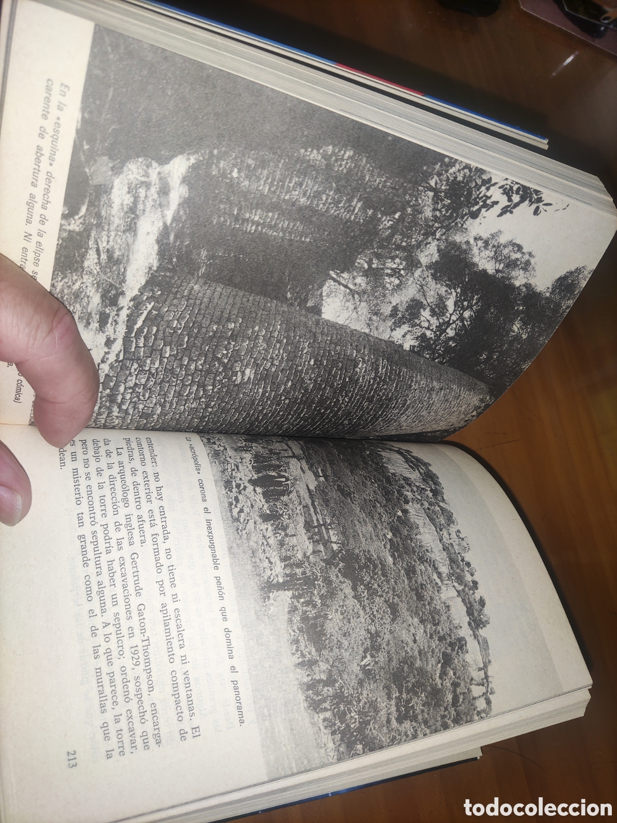 Libros de segunda mano: Profeta del Pasado. - Foto 9