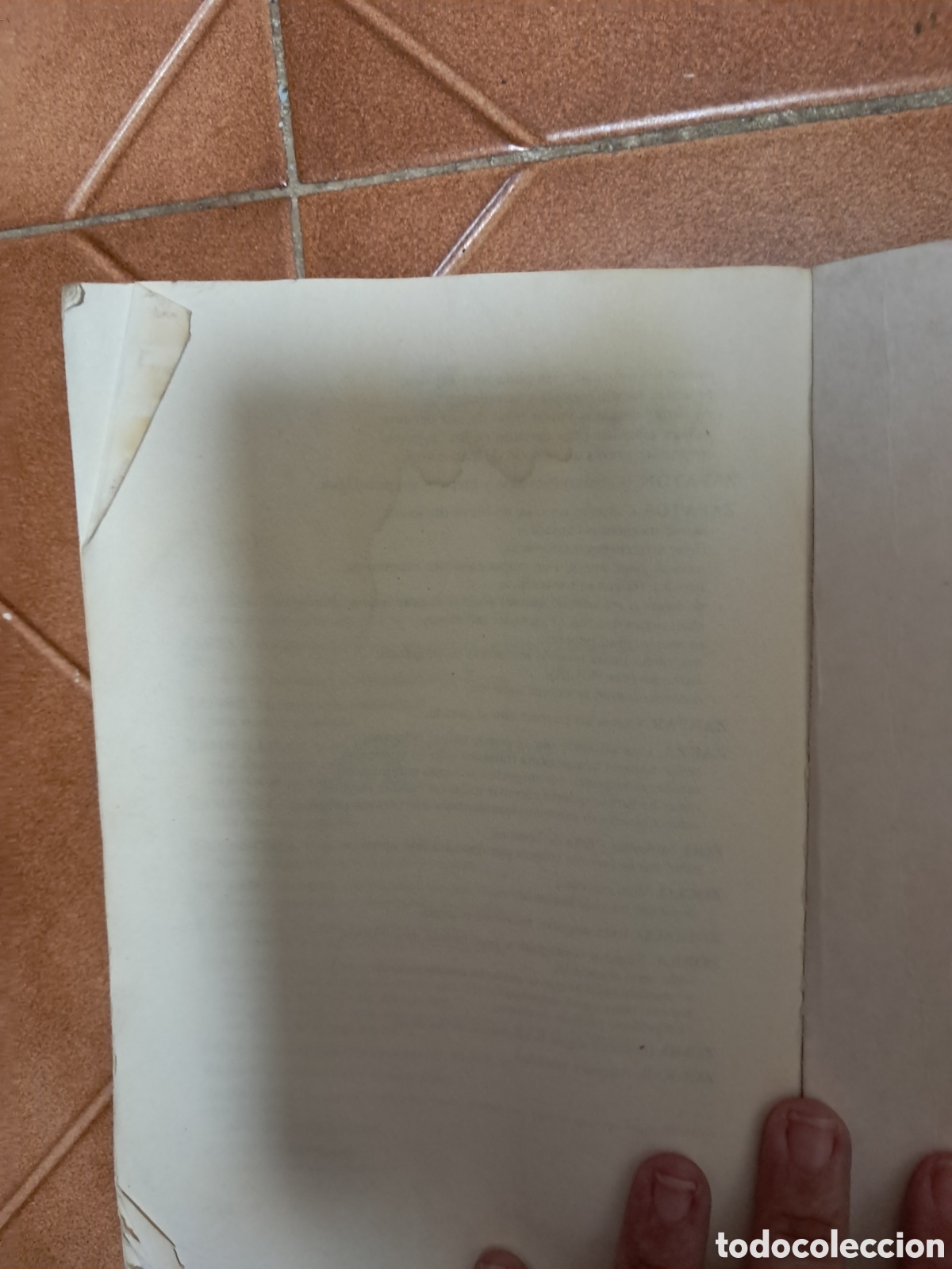 Libros de segunda mano: EL GRAN LIBRO DE LOS SUE&Ntilde;OS. Anna Monteschi. EDITORIAL DE VECCHI 1990 - Foto 6