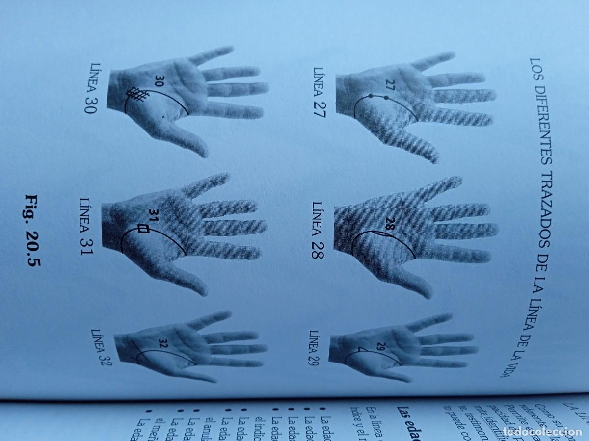 Libros de segunda mano: La vida en las manos, quirologia pr&aacute;ctica - Foto 5