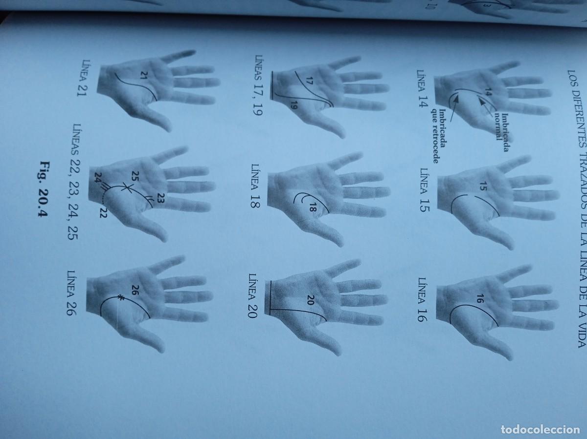 Libros de segunda mano: La vida en las manos, quirologia pr&aacute;ctica - Foto 6