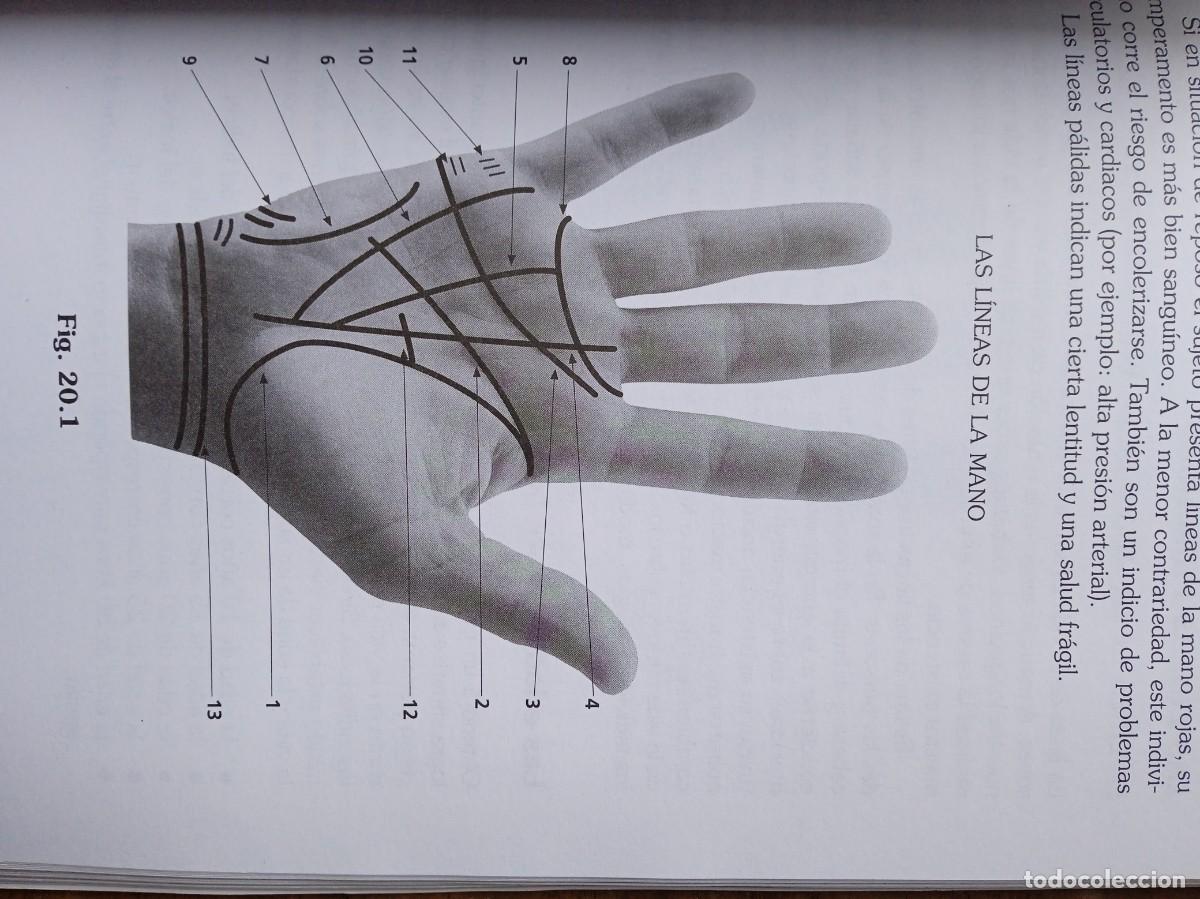 Libros de segunda mano: La vida en las manos, quirologia pr&aacute;ctica - Foto 8
