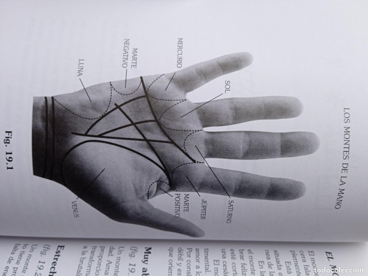 Libros de segunda mano: La vida en las manos, quirologia pr&aacute;ctica - Foto 10
