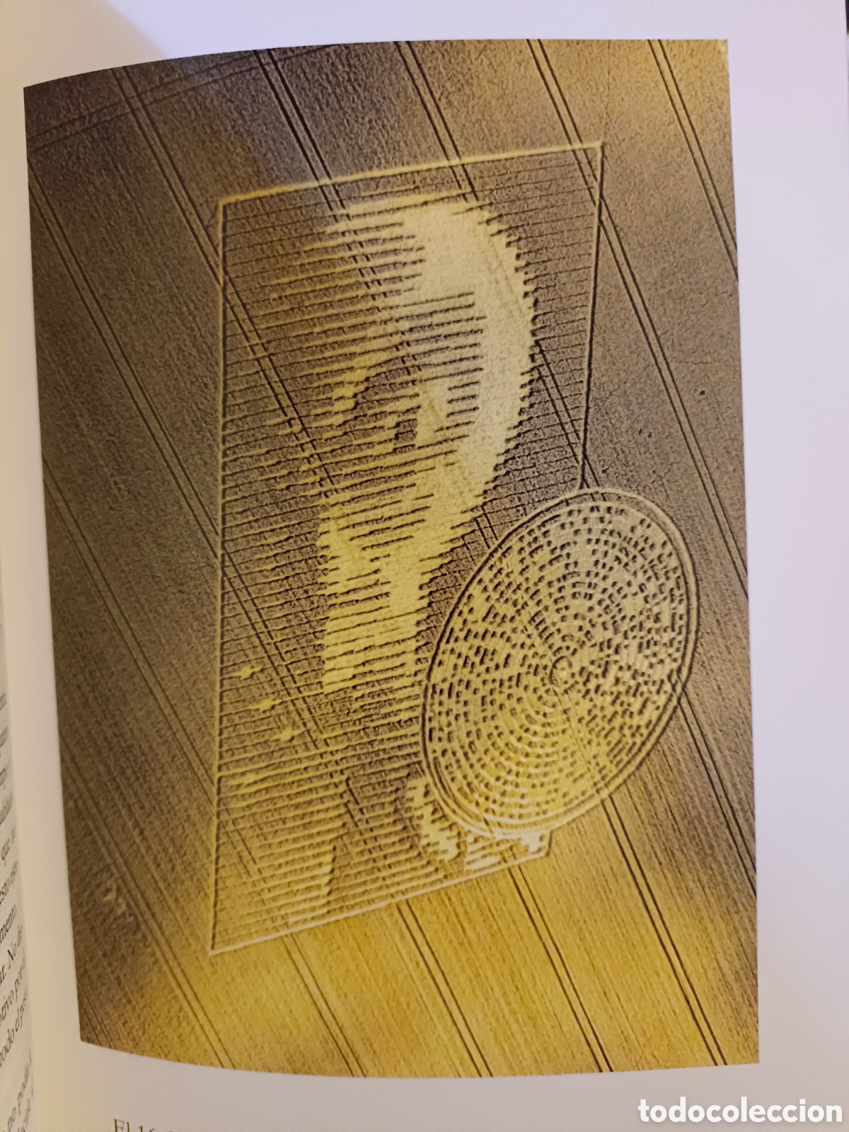 Libros de segunda mano: Extraterrestres de Rafael Palacios - Foto 5