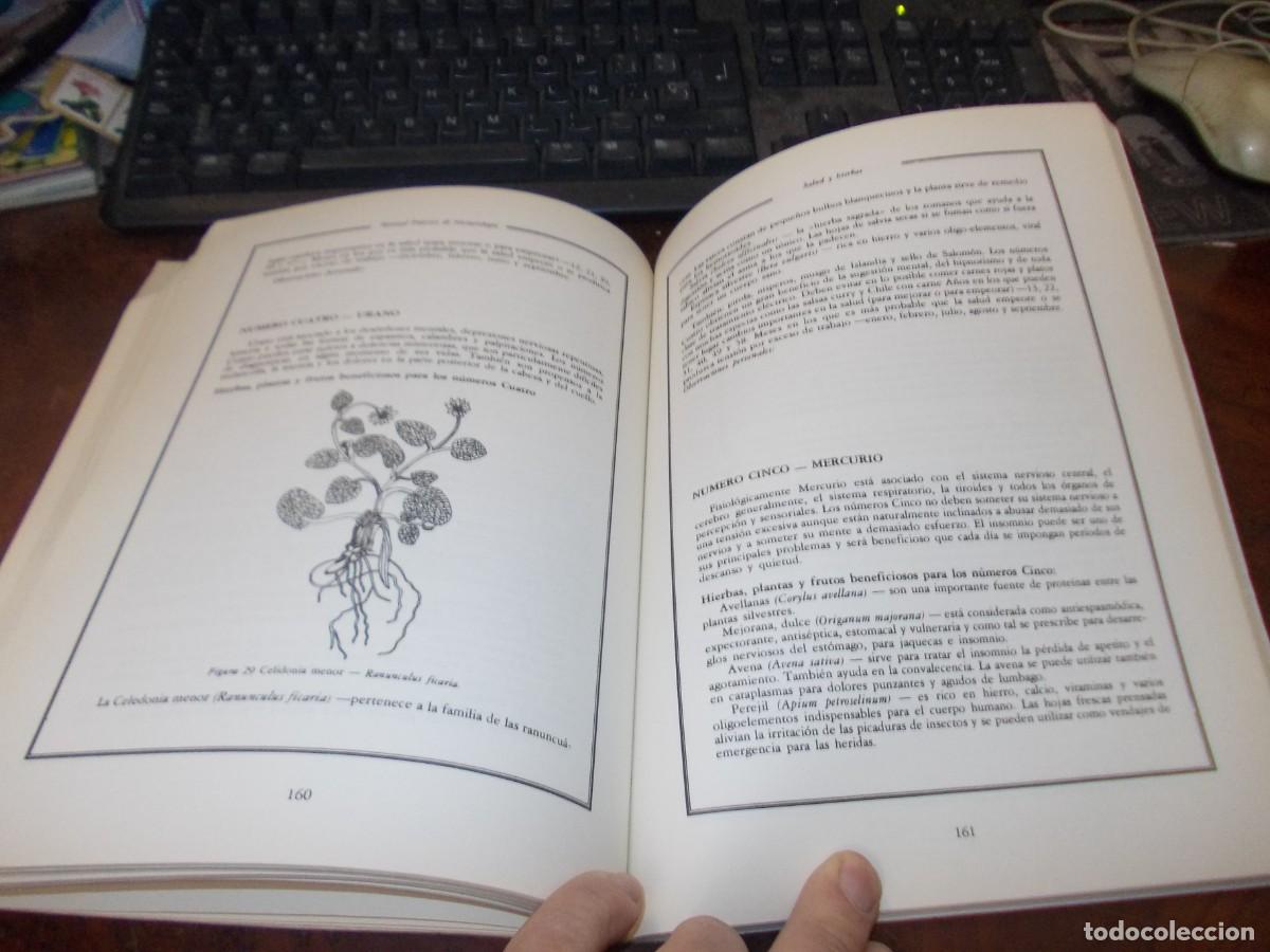 Libros de segunda mano: Manual pr&aacute;ctivo de numerolog&iacute;a. Julia Line. Edaf 1.986. Como entender y usar el poder de los n&uacute;meros - Foto 7