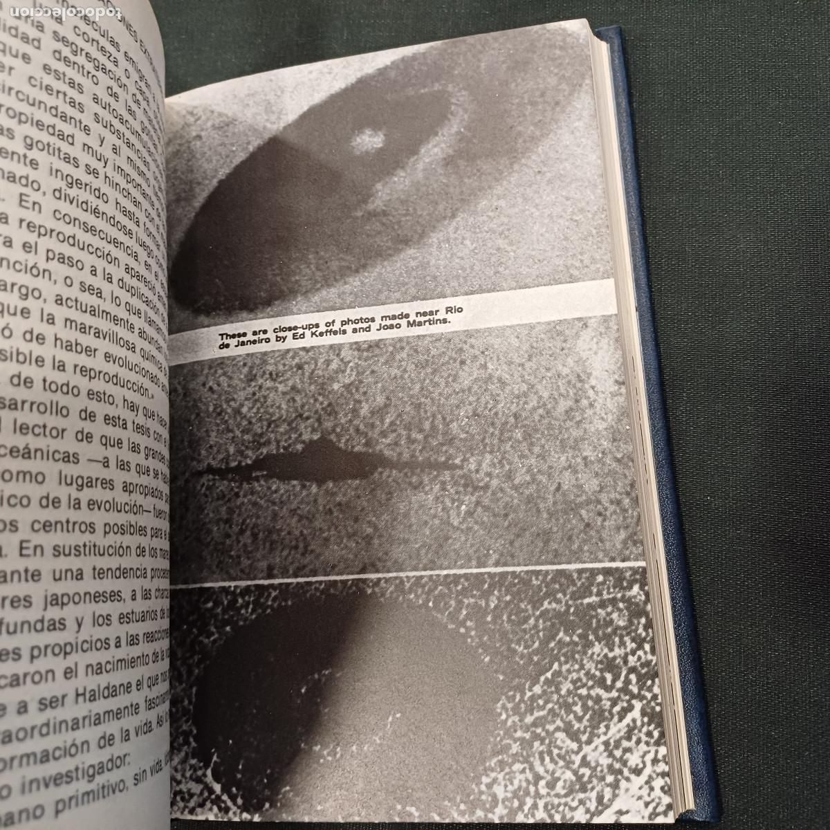 Libros de segunda mano: A LA BUSCA DE OTRA HUMANIDAD. - Foto 2