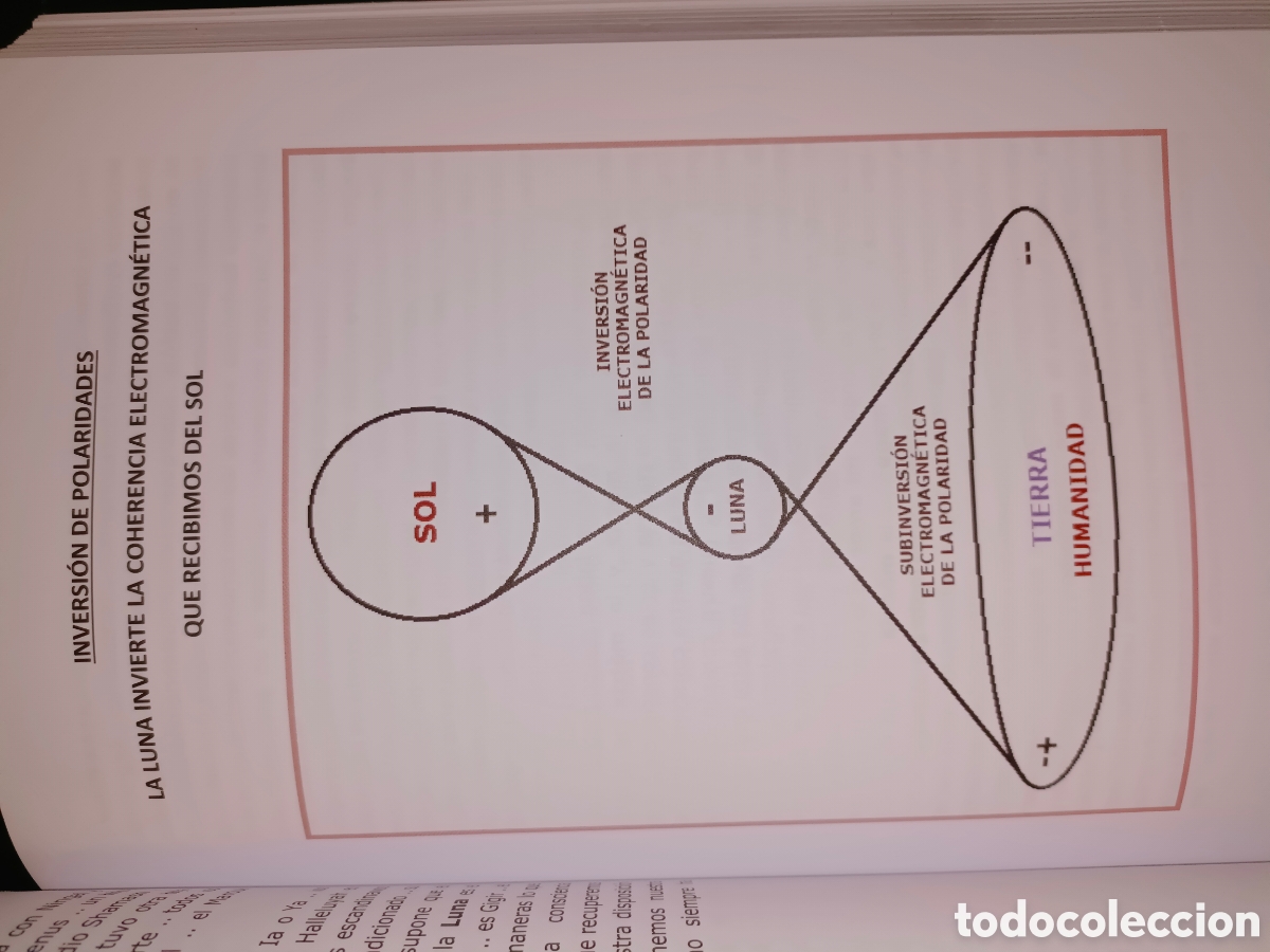 Libros de segunda mano: Momor de Sergio Manuel - Foto 4
