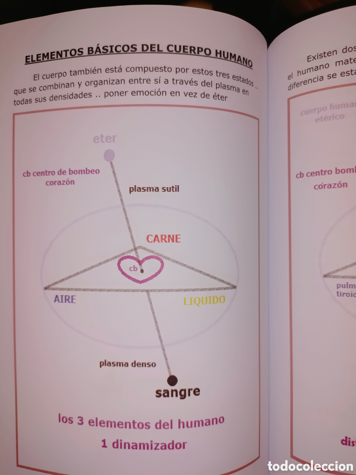Libros de segunda mano: Momor de Sergio Manuel - Foto 7