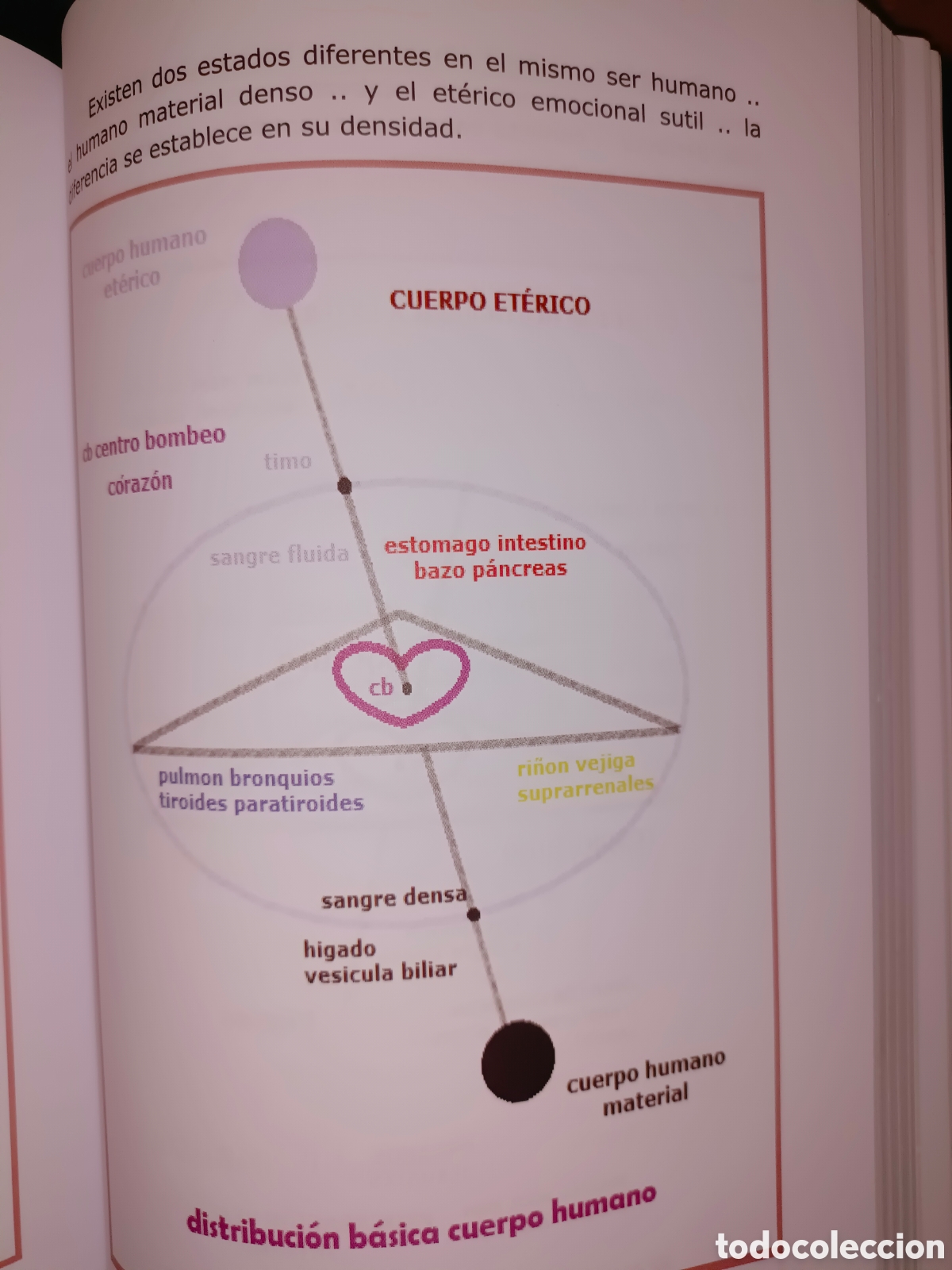 Libros de segunda mano: Momor de Sergio Manuel - Foto 8