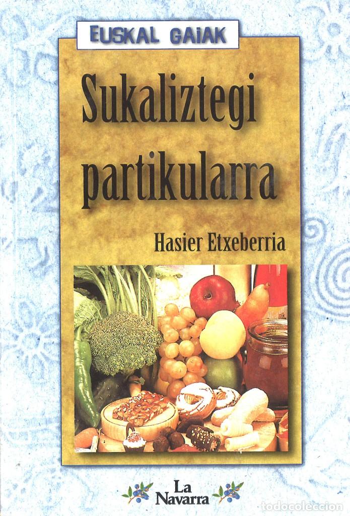 Libros de segunda mano: Sukaliztegi partikularra. Hasier Etxeberria. En euskera - Foto 1