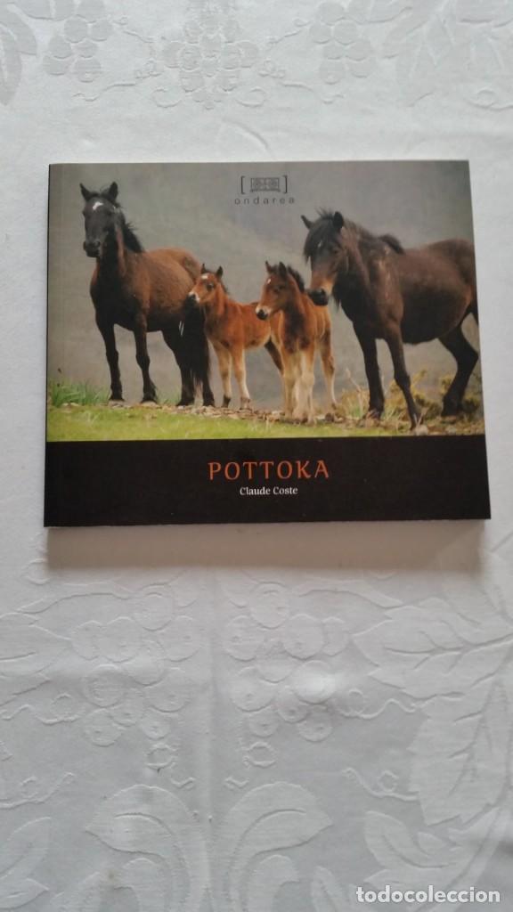 Libros de segunda mano: POTTOKA. CABALLO DE EUSKALHERRIA - Foto 1