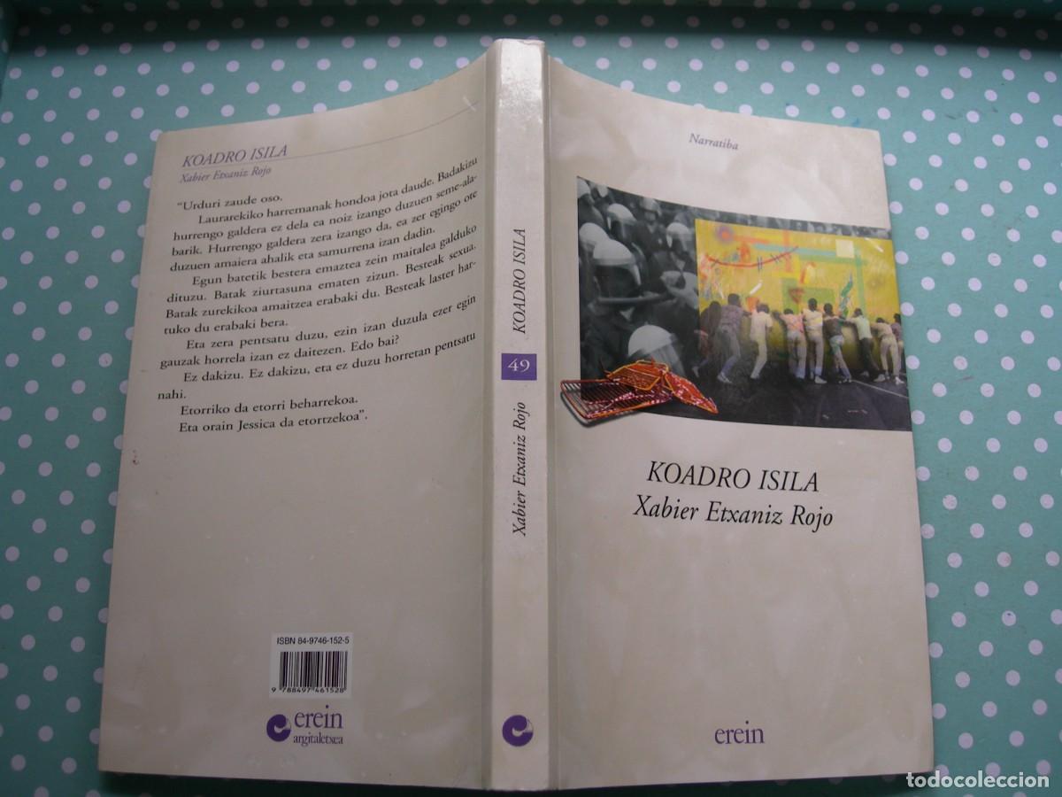 Libros de segunda mano: KOADRO ISILA / XABIER ETXANIZ ROJO / NARRATIVA / EUSKERA - Foto 1