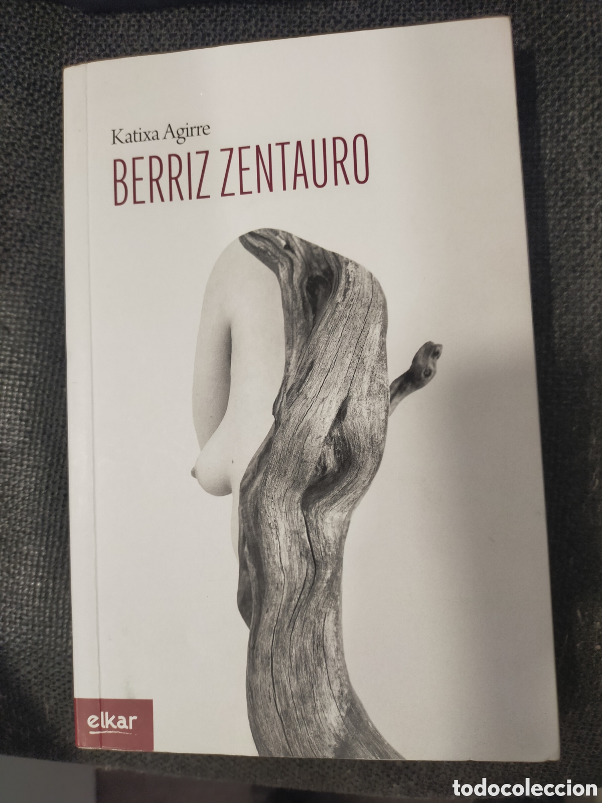 Libros de segunda mano: BERRIZ ZENTAURO KATIXA AGIRRE - Foto 1