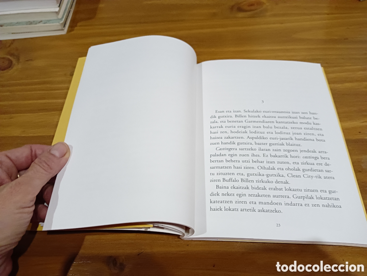Libros de segunda mano: Garmendia. Errege. Editorial Elkar - Foto 4