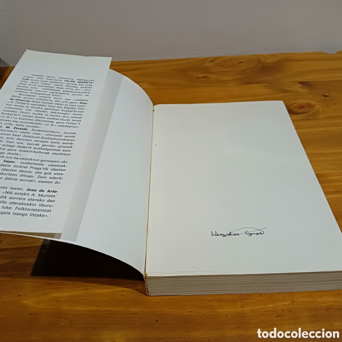 Libros de segunda mano: UMEEN -DEIA . Ismael Torres - Foto 2