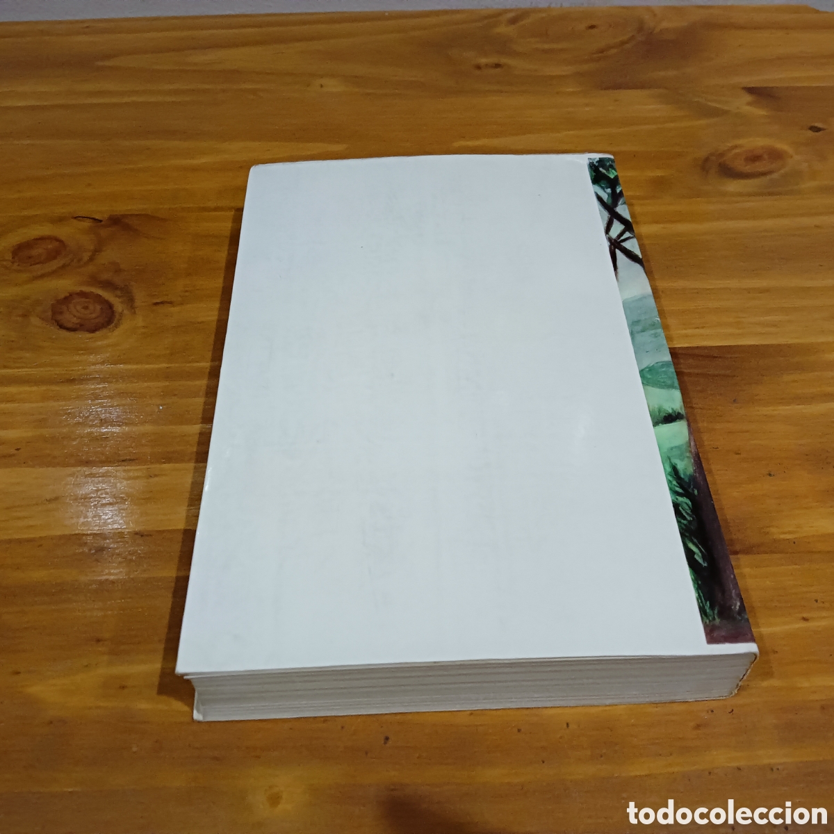 Libros de segunda mano: UMEEN -DEIA . Ismael Torres - Foto 8
