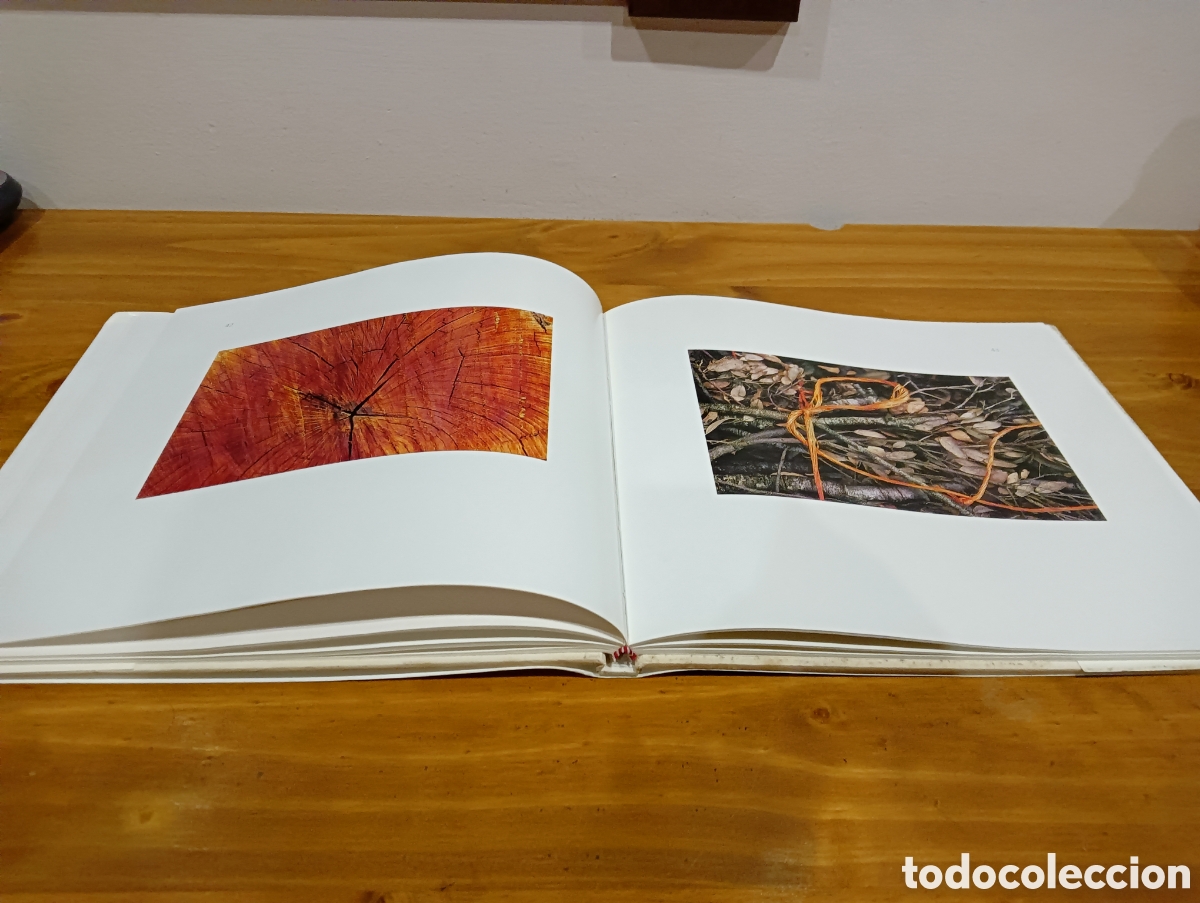 Libros de segunda mano: Anastasio otxoa, ikazkina - Foto 5