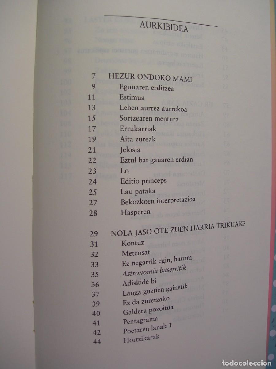 Libros de segunda mano: RIMMEL / KOLDO IZAGIRRE / EUSKERA - Foto 3